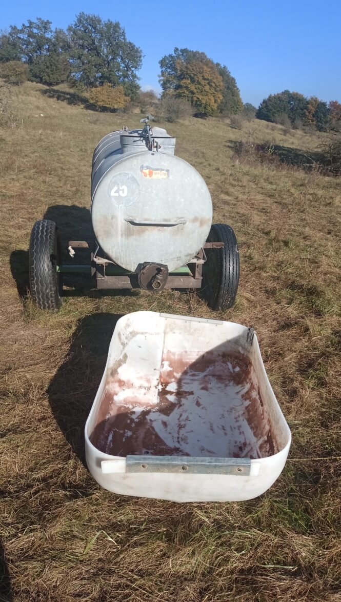 Kein Tropfen Wasser für die Schafe. (Credits: pugnalom)