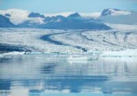 Mehr Kalzium - weniger Kohlendioxid-Freisetzung (Credits: freepik)