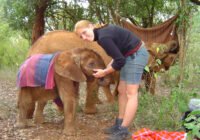 Angela Stöger mit Elefant (Copyright: Angela Stöger)