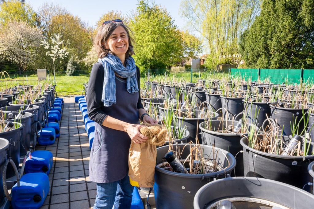 Dr. Franziska Tanneberger in der Mesokosmenanlage (Foto: Gina Heitmann)