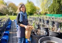 Dr. Franziska Tanneberger in der Mesokosmenanlage (Foto: Gina Heitmann)