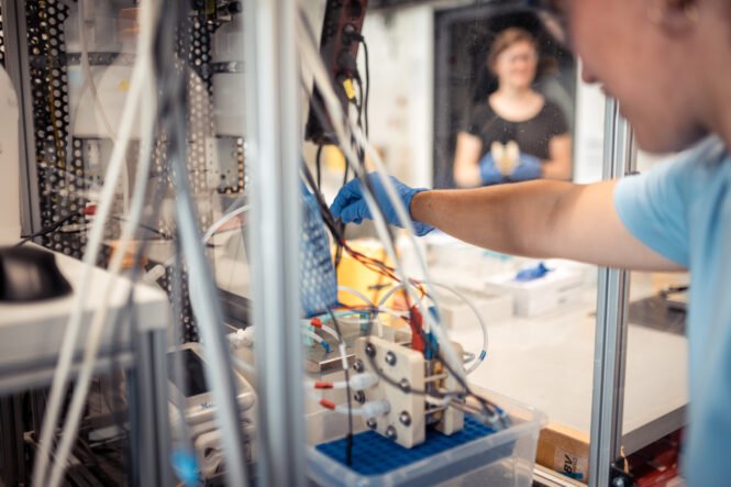 Die AEM Wasserelektrolyseur-Zelle arbeitet mit einer neu entwickelten Membranelektrodeneinheit (MEA), die mit einem schichtstrukturierten Nickel-basierten Anodenkatalysator direkt beschichtet ist. (Quelle: Flo Force Fotografie, Copyright: Hahn-Schickard & IMTEK Universität Freiburg)