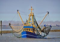 Trotz heftigster Kritik aufgrund der drastischen negativen Auswirkungen auf Meer und Mensch ist die Schleppnetzfischerei immer noch nicht verboten. (Credits: Hereon/iStock)