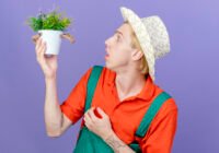 Unglaublich, was Pflanzen alles können. Das Zählen und Rechnen gehört auch offenbar auch dazu. (Credits: freepik)