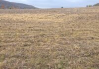 Alles gelb: Riesige landwirtschaftliche Nutzflächen werden mit Glyphosat gespritzt (Credits: pugnalom)