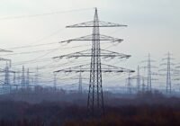 Credits: Willi Heidelbach/pixabay