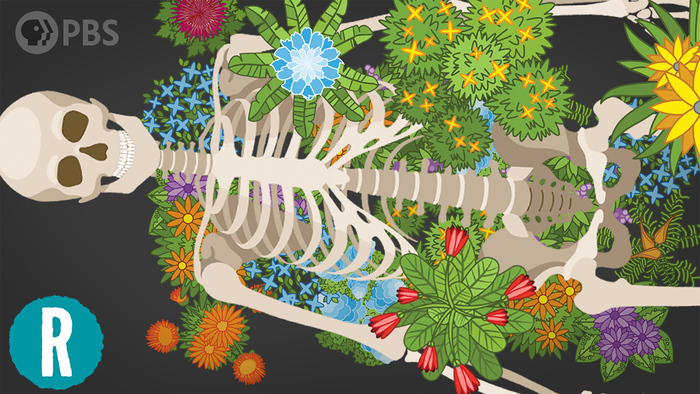 low-res_death-decomposition_reactionshr6720547982487018602 | Pugnalom