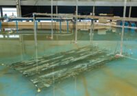 Im Wellenbecken haben die Braunschweiger Wissenschaftler die Seetangfarm im Maßstab 1:20 nachgebaut. ( Quelle: Kristina Rottig/TU Braunschweig)