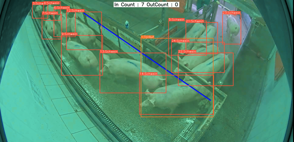 Videobasierte Objekterkennung von Tierschutzverstößen in Echtzeit