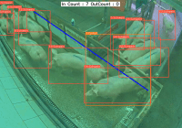Videobasierte Objekterkennung von Tierschutzverstößen in Echtzeit