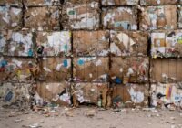 Credits: Alex Fu/pexels