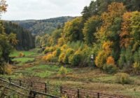 Credits: Ralf1403/pixabay