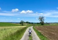 Credits: Beck-O'Brian/Uni Kassel