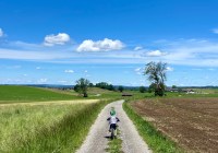 Credits: Beck-O'Brian/Uni Kassel