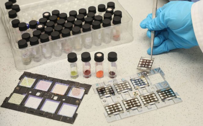 Credits: Kurt Fuchs/HI ERN