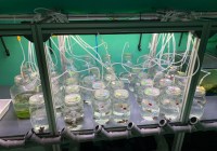 (Credits: Špela Korez/Alfred-Wegener-Institut)