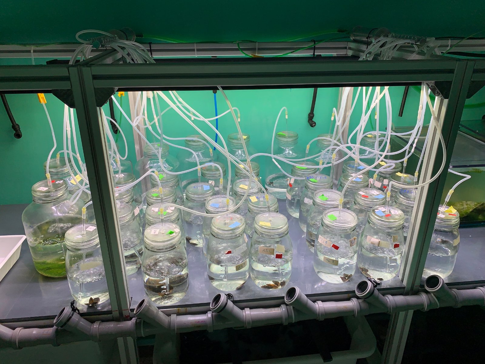 (Credits: Špela Korez/Alfred-Wegener-Institut)