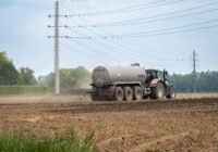 Credits: Fred dendoktoor/pexels