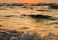 (Credits: Kaboompics.com/pexels)