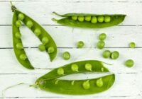 Credits: R. Khalil/pexels