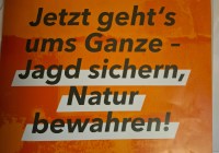 Credits: pugnalom.io