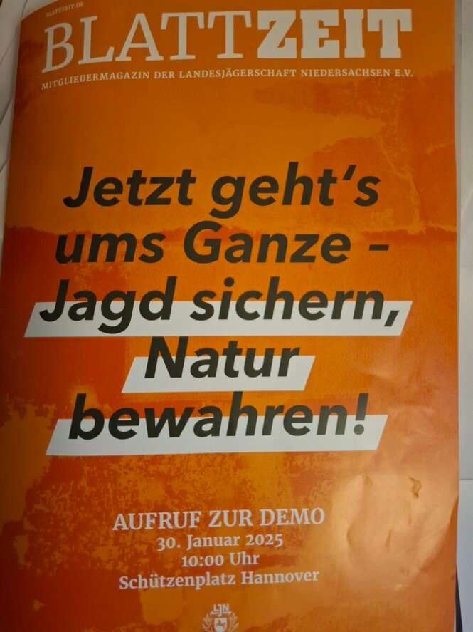 Credits: pugnalom.io