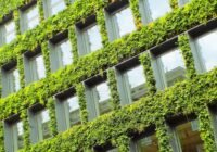 (Credits: Belinda Cave/pixabay)