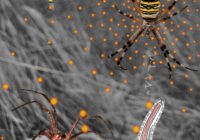 (Credits: Veronika Uhl)