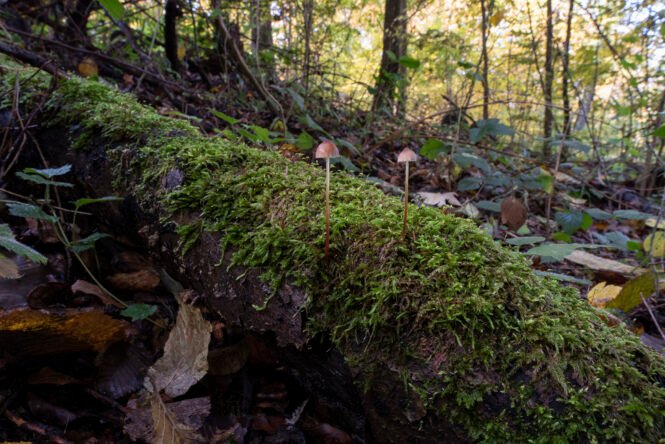 (Credits: Baggenstos/Rudolf)