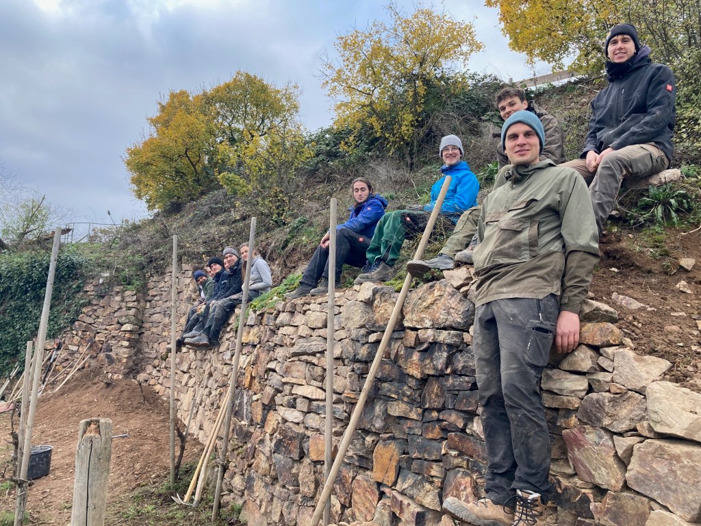 (Credits: Mathias Scheidweiler)