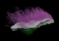 (Credits: Mark Sutton/Imperial College London) 