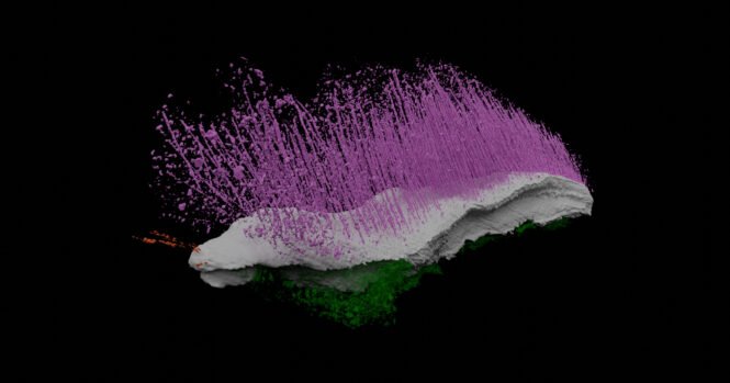 (Credits: Mark Sutton/Imperial College London) 