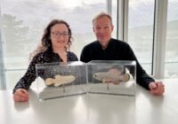 (Dr. Annekatrin Richter und Prof. Christoph Englert. Creditis: FLI)