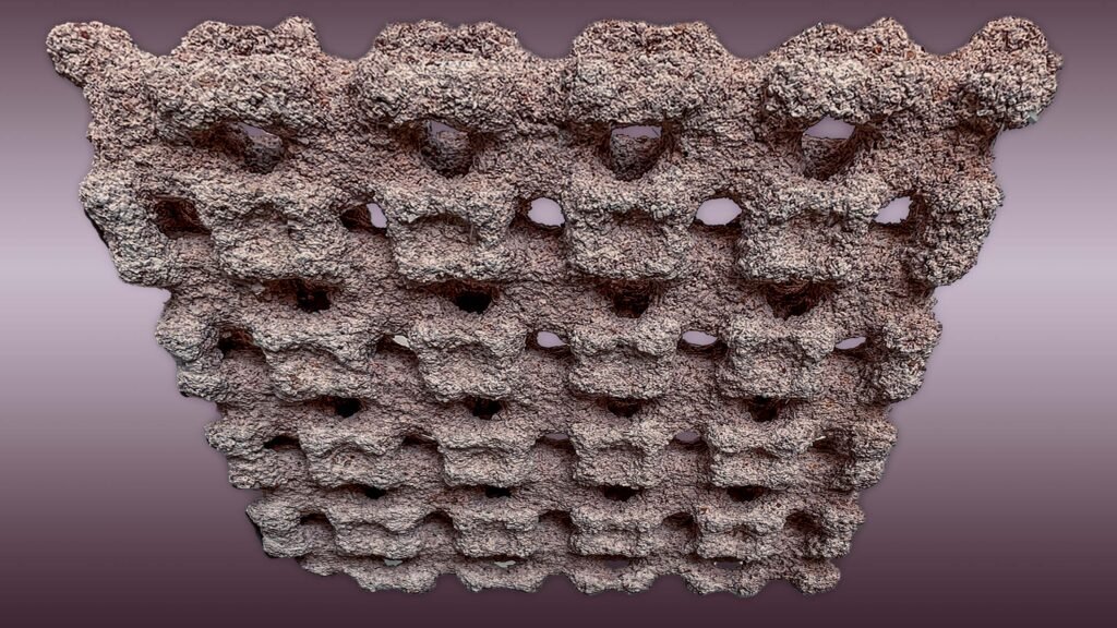 (Credits: Pietro Odaglia/Josef Kuster)