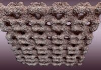 (Credits: Pietro Odaglia/Josef Kuster)