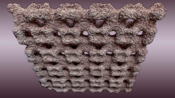 (Credits: Pietro Odaglia/Josef Kuster)