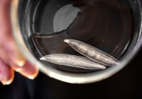 (Credits: Marko Freese/Thünen-Institut)