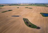 (Credits: Jon A. Juarez/Leibniz-IZW)