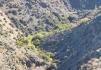 Credits: Dirk Karger