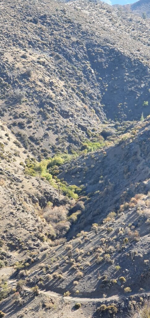 Credits: Dirk Karger