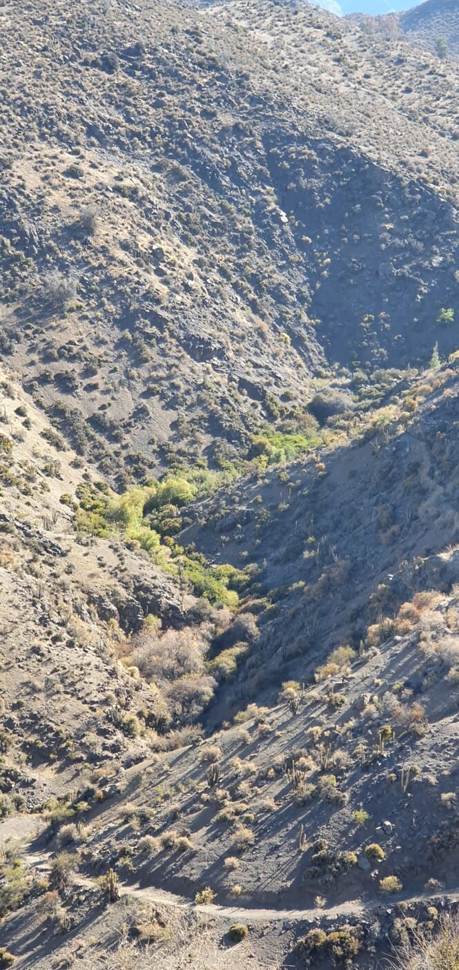 Credits: Dirk Karger