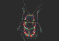 Credits: Max-Planck-Institut für chemische Ökologie