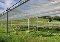 Credits: Andreas Schaumberger