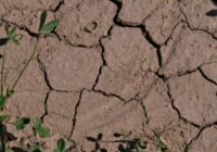 Credits: R. Lehmann/Universität Jena