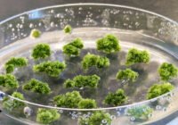 Credits: Janine Fürst-Jansen