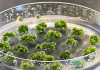 Credits: Janine Fürst-Jansen