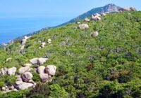 Credits: Andrew Tilker, Leibniz-IZW 