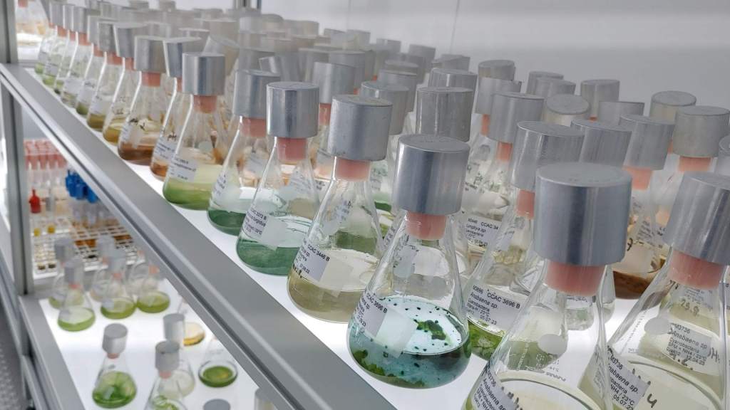 Credits: Bank Beszteri, UDE