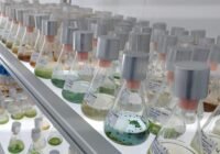 Credits: Bank Beszteri, UDE