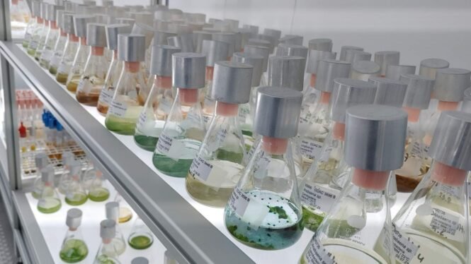 Credits: Bank Beszteri, UDE